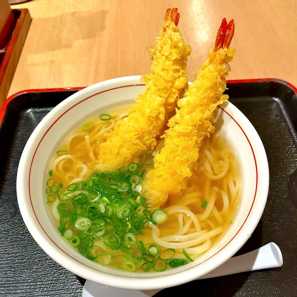 えび天うどん|T. Wonderさん