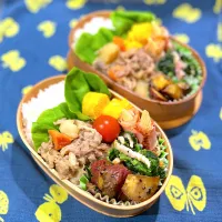 肉じゃが弁当|のんさん