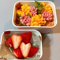 オムライス弁当🌸|matumotommさん