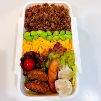 4/25 そぼろ弁当|なおちゃんさん
