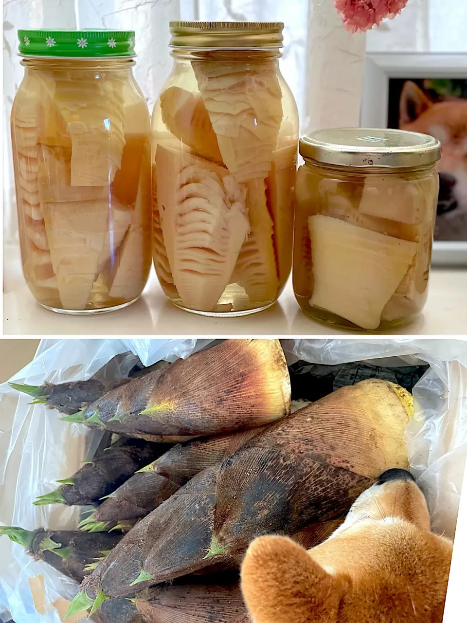 たけのこの保存|yucca@さん