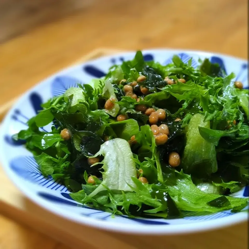 納豆とわかめの腸活サラダ🥗|森のごはん屋さんさん