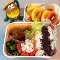 ミートボール弁当|matumotommさん