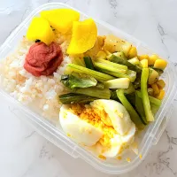 4/26@OL弁当|aria╰(*´︶`*)╯さん
