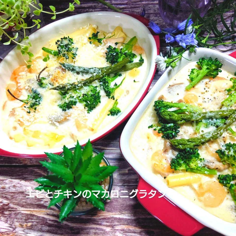 エビとチキンのマカロニグラタン|橘葵さん