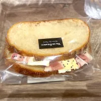 |Chihiro Hazukiさん