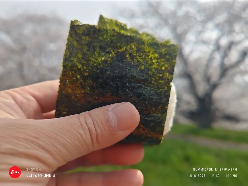 鮭おにぎり|meguromenさん