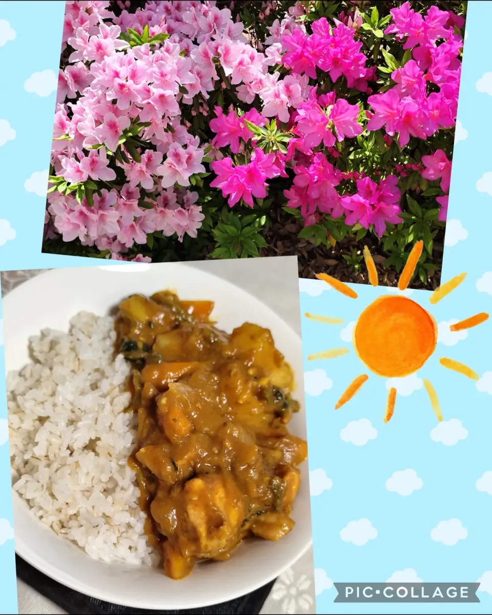 久しぶりの休日、夜はチキンカレー|m.rafuさん