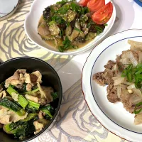 茄子味噌　かつおな豚　牛肉玉葱炒め|卍さん