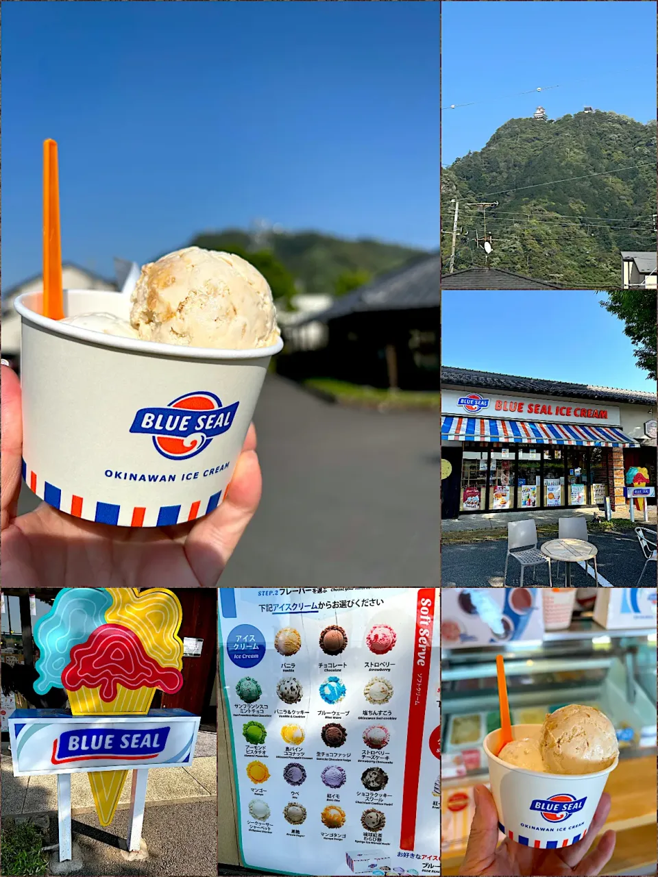 【帰省】岐阜でなぜか沖縄ブルーシールアイスクリーム🍨🤍🌴🌺|まなまな♡さん