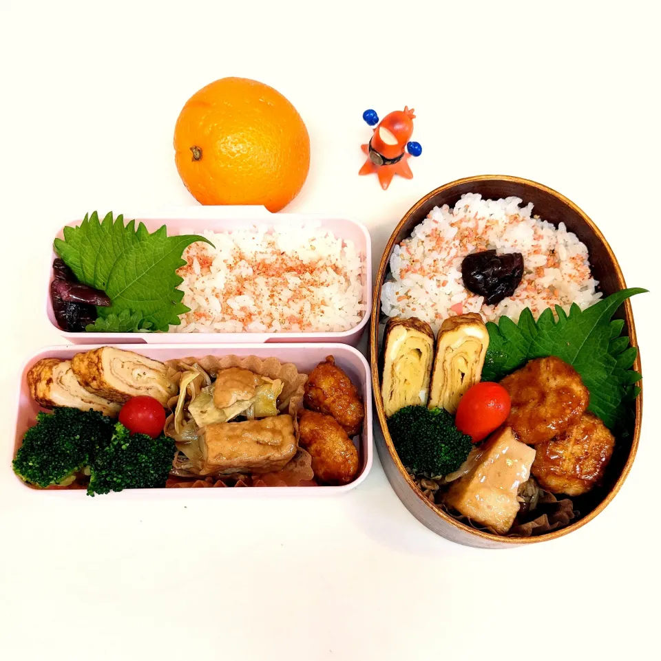 2024.11.5㈫お弁当|azubowさん