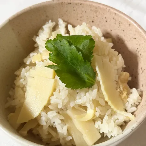 「フレッシュパックソフト」を使ってみたSnapdishの料理・レシピ写真:旬のたけのこごはん