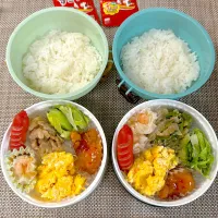 青椒肉絲弁当。娘弁当| ゆーこ。さん