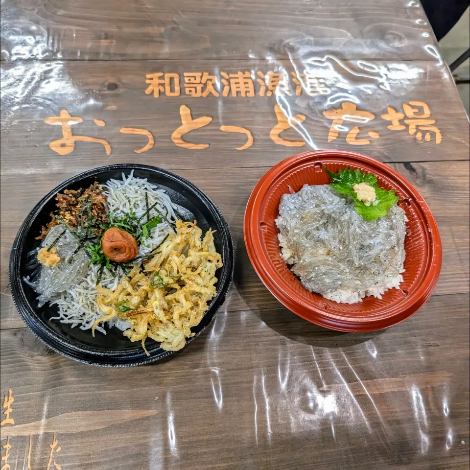 生しらす丼。|ママちんさん