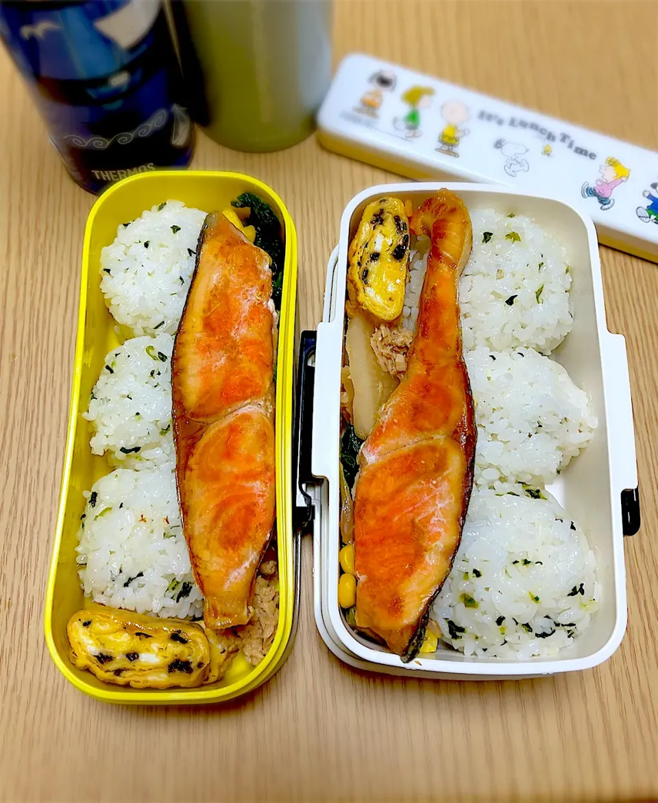 2025.4.26  お弁当|もっさんさん