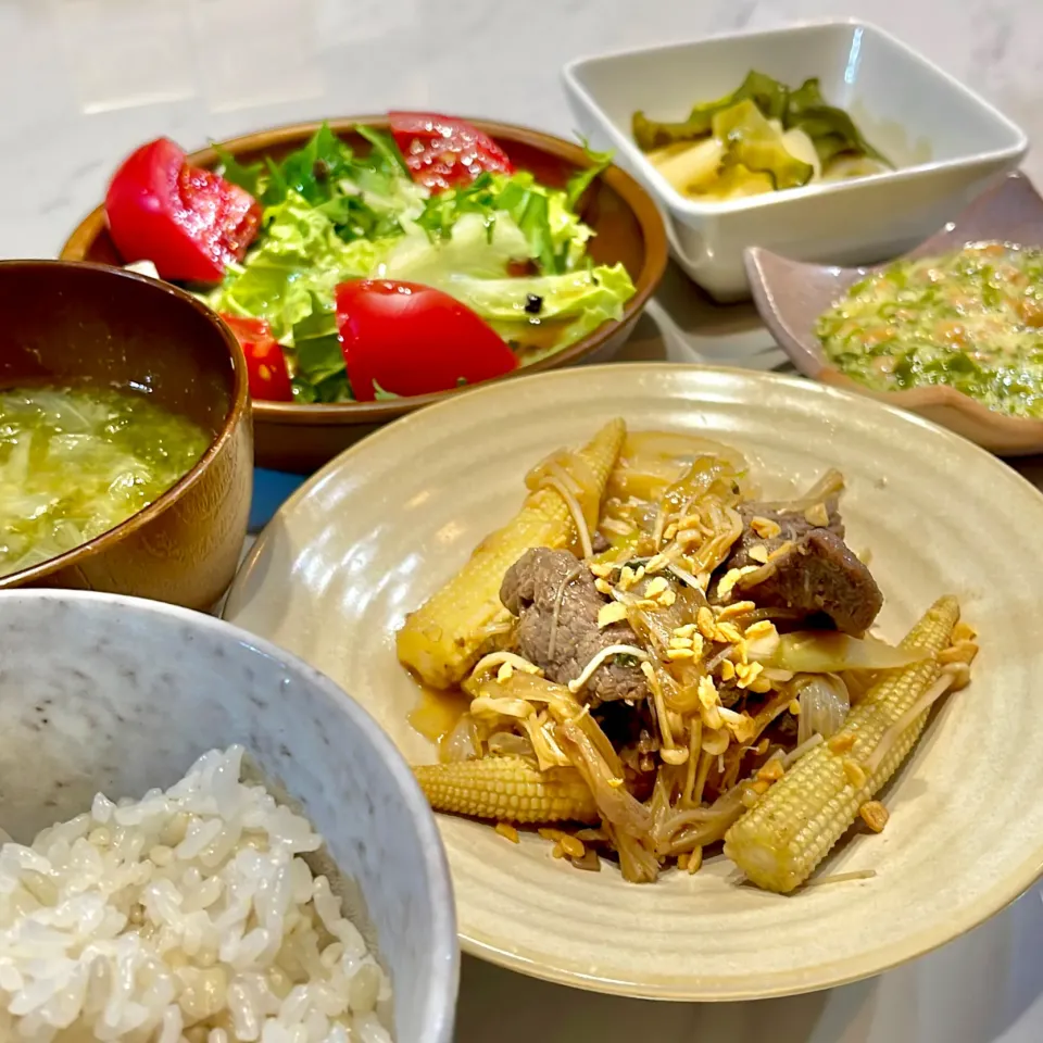 肉野菜炒め。他。|ぎんさん