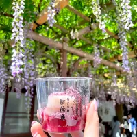 くず餅|ⅡⅣⅢさん