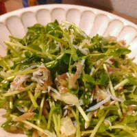 香味野菜としらすのサラダ|むーちよさんさん