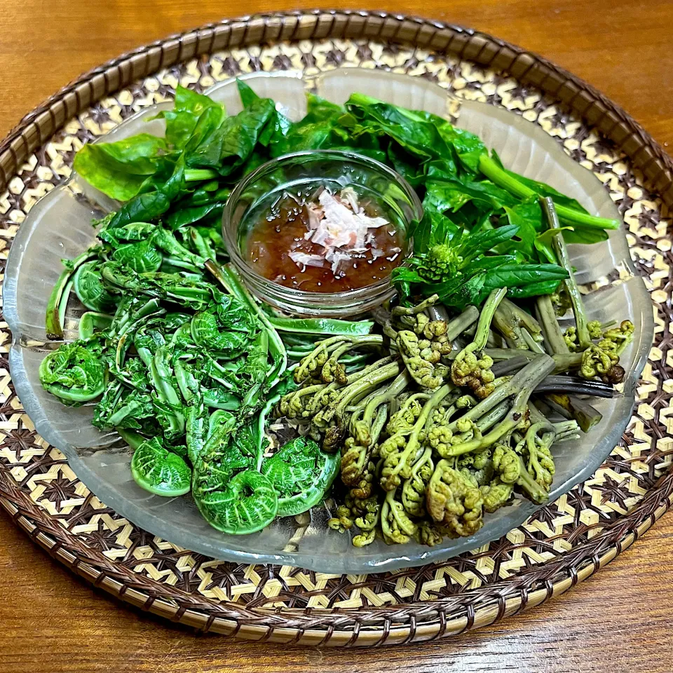 ＊こごみ＊わらび＊菜花のお浸し🌿|henryさん