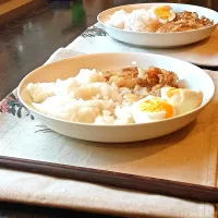 🍚🍤🥚|Tiger Pirateさん