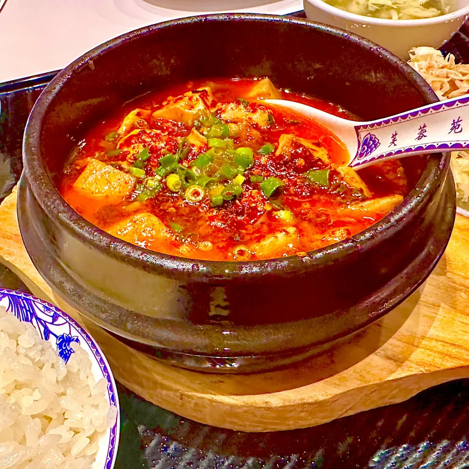 四川麻婆豆腐|にゃあ（芸名）さん