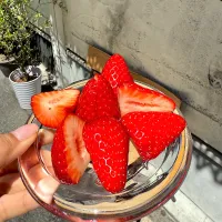 せとか|ちゃまんじゅうさん