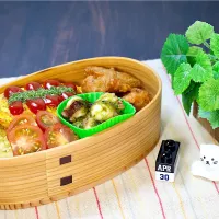今日のお弁当 25/04/30|しげさん