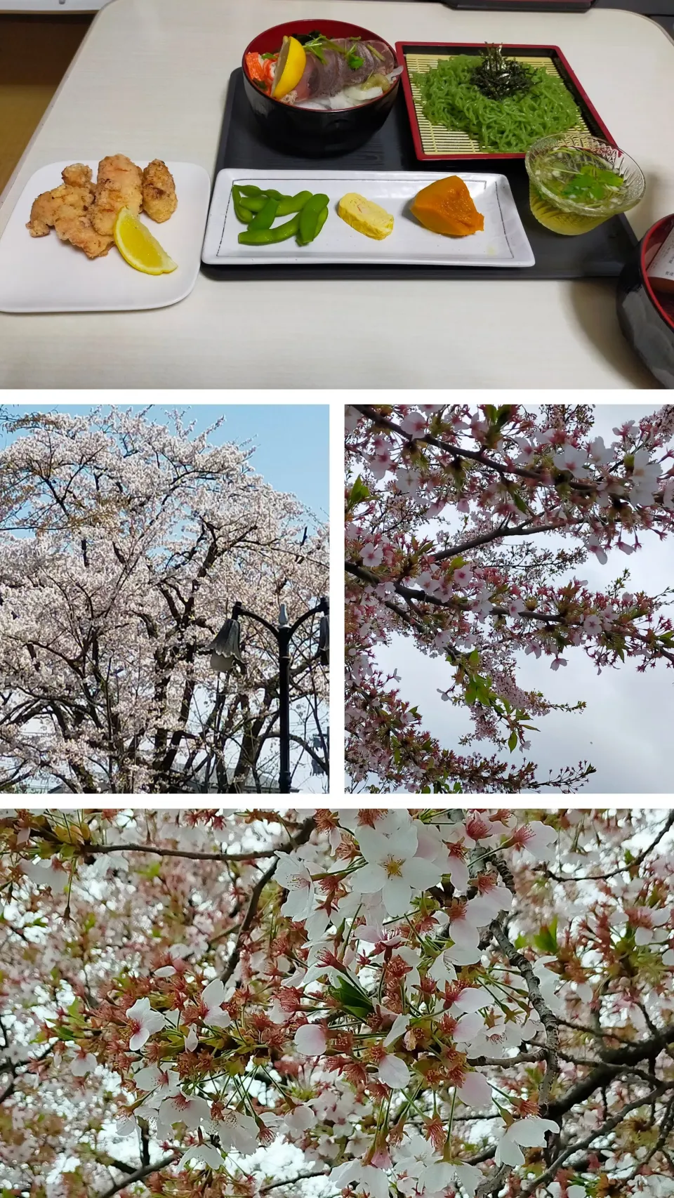 わかめそばとかつお🐟たたきと唐揚げ|justice🍎IWATE🍎さん
