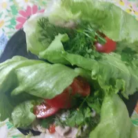 「バクチーたくさん｣豚肉、トマトのレタス巻き|はやとさん