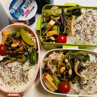 今日のお仕事弁当♪2025.4.30|ぐぅさん