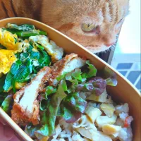 たけのこごはんお弁当🍱