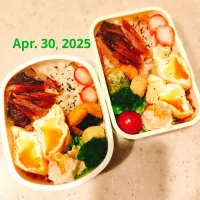 息子&夫弁当_20250430|Wakaさん