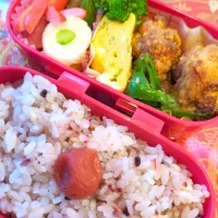 お弁当|Mayayaさん