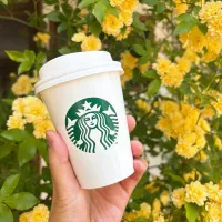 コーヒー|ちゃみこさん