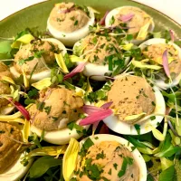 Bisque Infused Deviled Eggs|gonbenさん