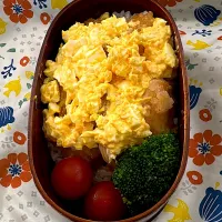 4/30 🍱|Elinaさん