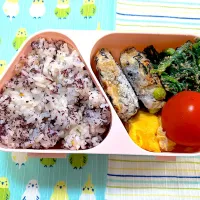 ゆかりご飯　枝豆ひじきの鶏団子　春菊の胡麻和え　ツナオムレツ　ミニトマト|kaori_831さん