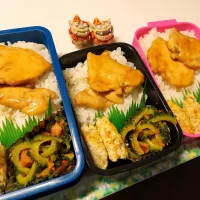 息子弁当､娘弁当､私弁当|みどりさん