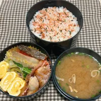 今日のお弁当 2025.5.1(Thu)|*seiko*さん
