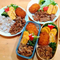 豚肉の焼肉&コロッケ弁当|NOZUさん