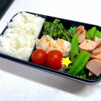 5/1 旦那弁当⁂ぎょにぴー弁当|ゆさん