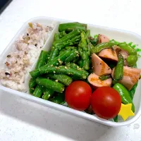 5/1 自分弁当|ゆさん