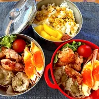 今日のヤツのお弁当（R7.4.30）|え〜かさん