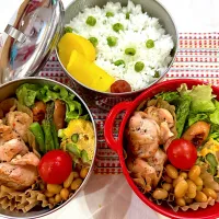 今日のヤツのお弁当（R7.5.1）|え〜かさん