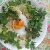 アジアン ひやむぎ  パクチーたっぷり|はやとさん