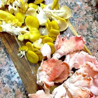 信州きのこ　たもぎだけと桜ひらたけ|sonokoさん