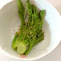 タラの芽のおひたし| あーさん