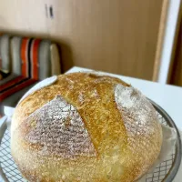 カンパーニュ|ちゃんノンさん
