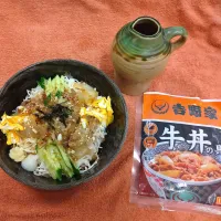 吉野家牛丼の具ソーメン|ひろさんぽさん