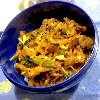2025.5.1  ＊今日のお弁当ピビンバ丼|rinrin*mama*さん
